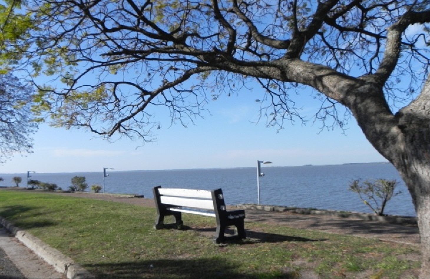 Lote en venta en Federacion Entre Rios