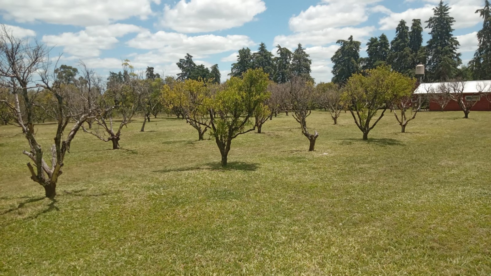 Lote en venta en Federacion Entre Rios