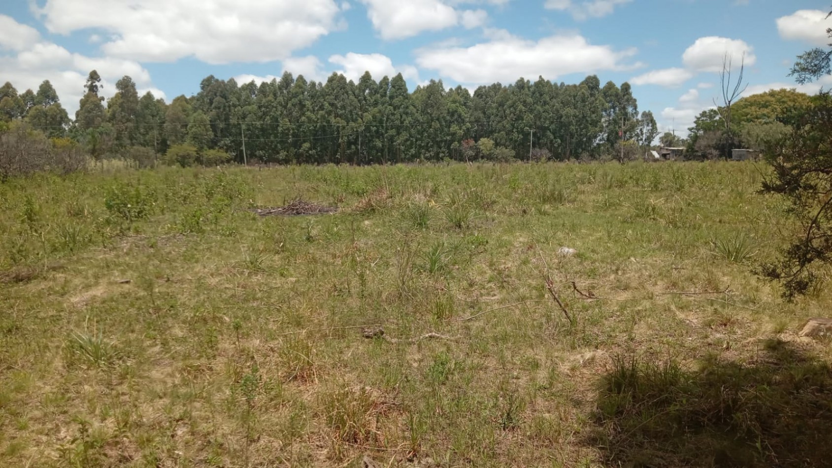 Lote en venta en Federacion Entre Rios