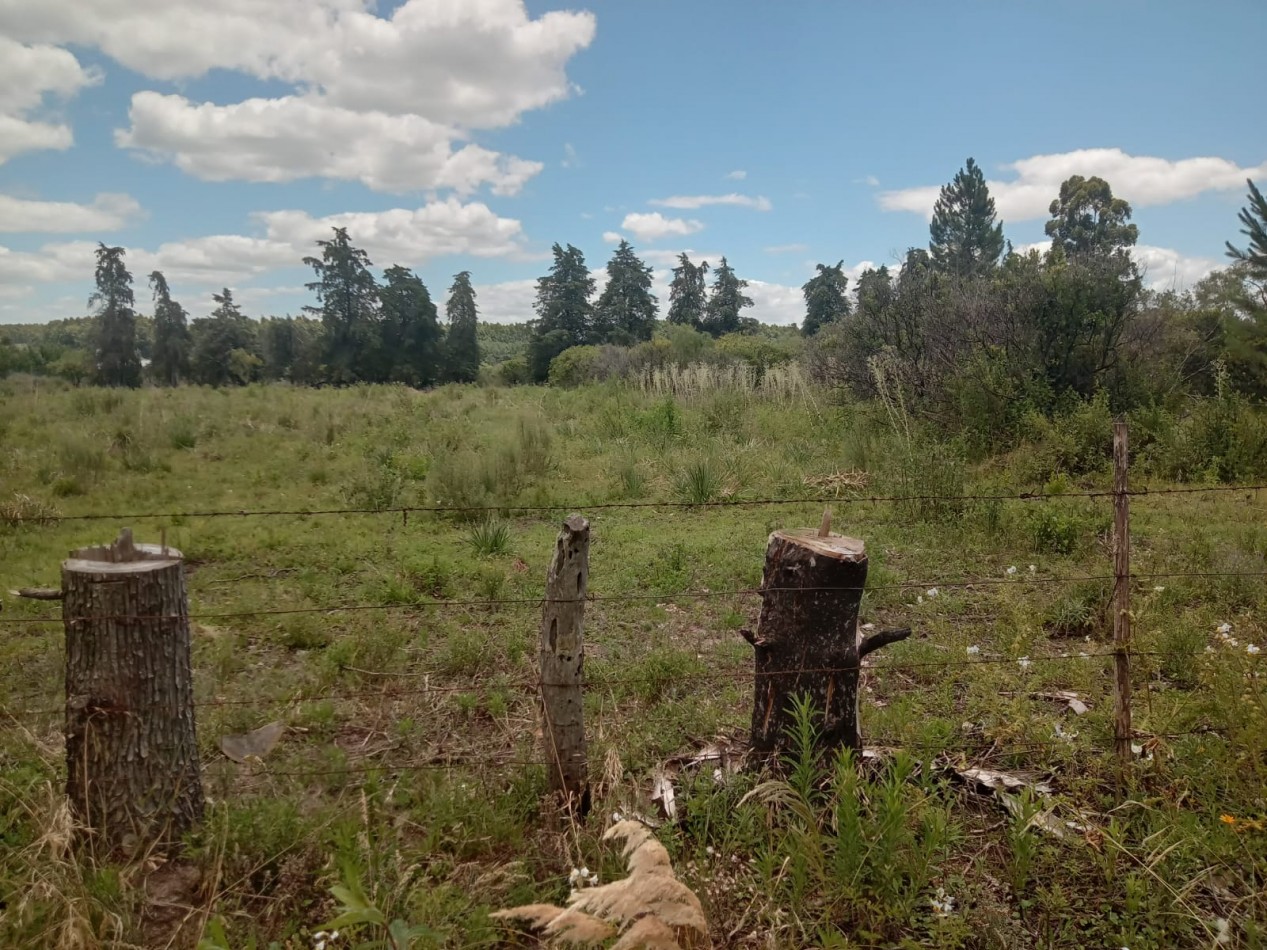 Lote en venta en Federacion Entre Rios