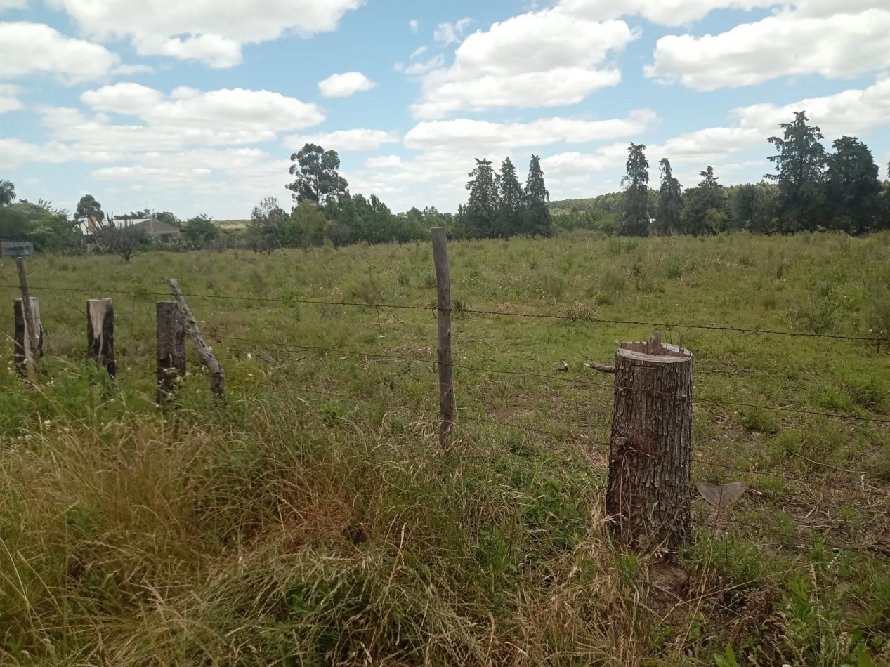 Lote en venta en Federacion Entre Rios