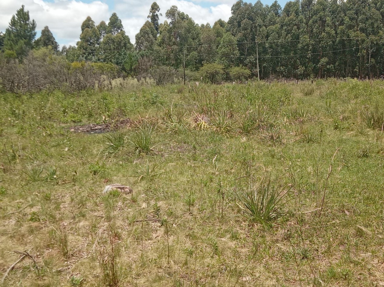 Lote en venta en Federacion Entre Rios