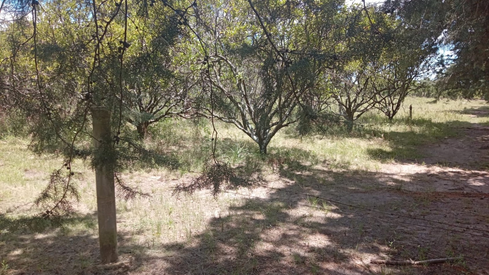 Lote en venta en Federacion Entre Rios