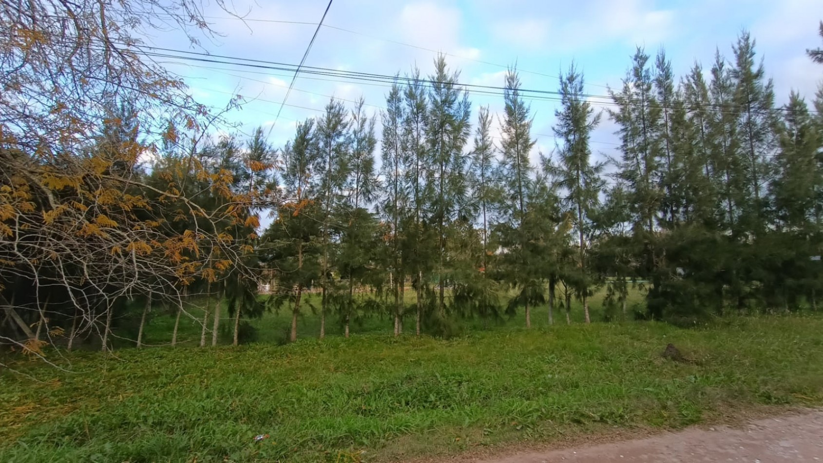 Lote en venta