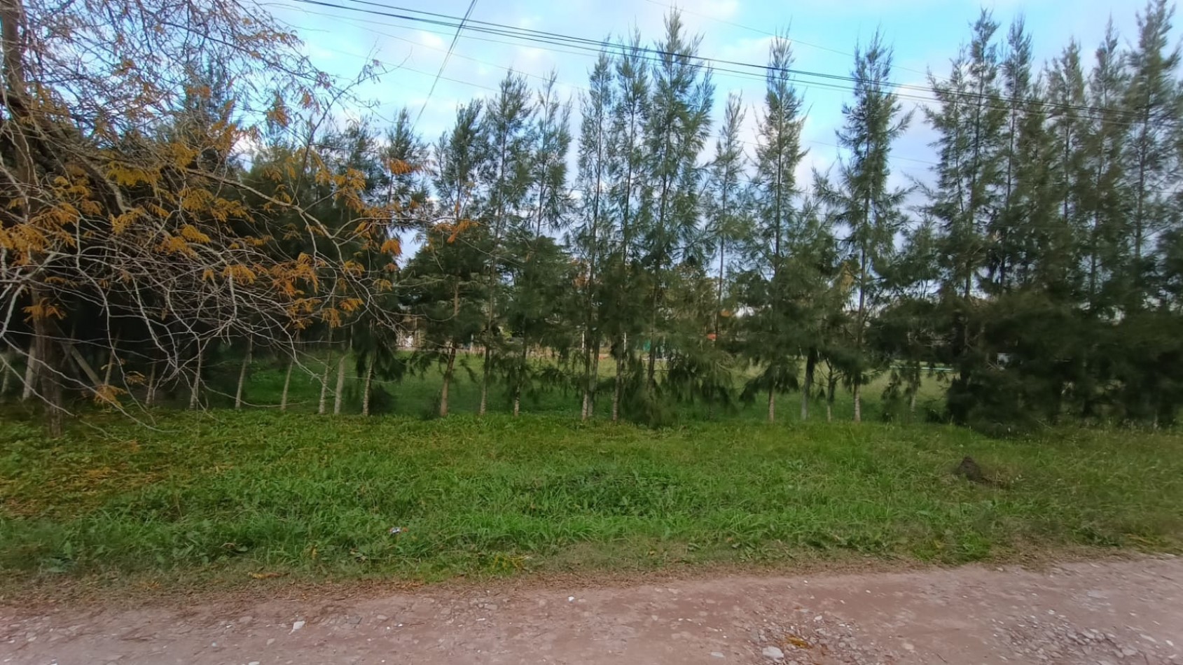 Lote en venta